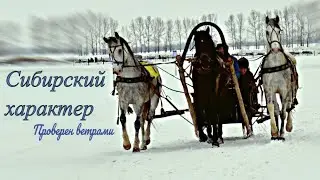 Сибирский характер| МАСЛЕНИЦА 2020  с.Новотырышкино