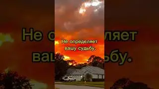Счастливая жизнь,богатство и успех, Любовь уже есть внутри вас, но вы упорно не хотите этого видеть.