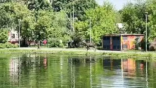 РОЗЫСК