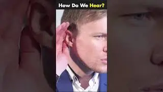 Working Of Human Ears (3D Animation) 