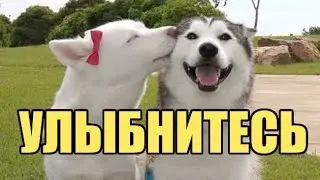 Давайте улыбнемся друг другу