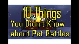 10 Things you Probably Didn't Know about Pet Battles