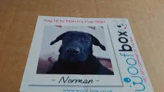 Catch up and Norman and Wendy's Woof Box