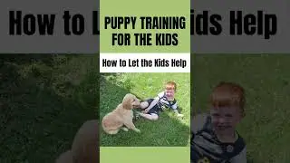 Puppy Training for the Kids  