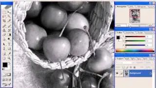 skala szarości 02 - lektor