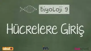 Hücrelere Giriş