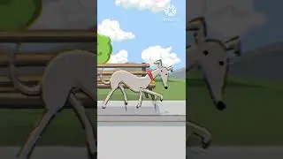 Everyday when you're walking down the Elephant Green Screen Effect