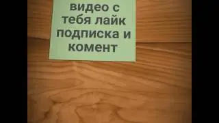 Топ 4 лучших телепрограмм на стс