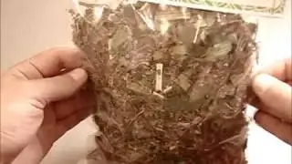 Травяной сбор УСПОКАИВАЮЩИЙ - АЛТАЙМАТРИ - травы с Алтая