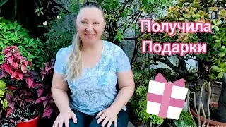 Получила Посылку от Харлампа🤩