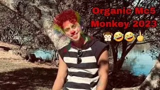 Mc5 SB Kings Brothers 🆚️ Organic 🙊 2023 Monkey - Ghazi - Lorraine - Freenzy - Emir - Others.