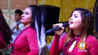 PURO SENTIMIENTO - MIX ROSADITAS 2017