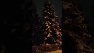 С Рождеством Христовым!