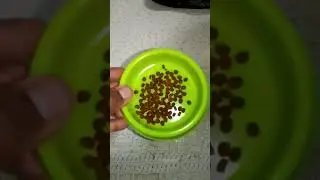 POCO X3 NFC SLOW MOTION 960 FPS ..