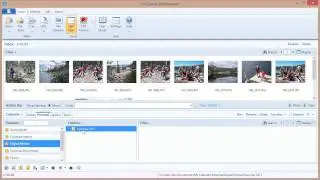 FileCenter Tutorial - Inbox & Split View
