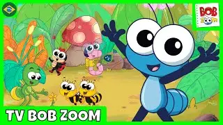 Bob Zoom Ao Vivo - Música Infantil para crianças - @BobZoom