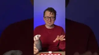 Угадай какую ИГРУШКУ загадал Саша