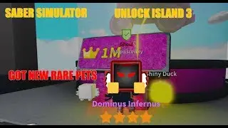 SABER SIMULATOR: I GOT NEW RARE PETS DOMINUS INFERNES IN ISLAND 3.