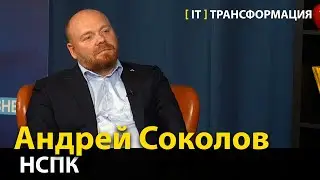 Развитие отечественных платёжных систем  —  Андрей Соколов, НСПК