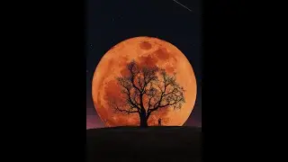 Photoshop manipülasyon