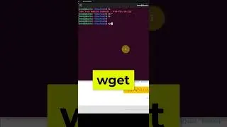 Download Files, Software, Packages in Linux Using Terminal 