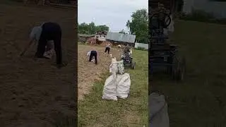 Копаем картошку мотоблоком