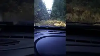 Прорыв 2
