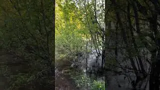 Лучший отдых — в санатории 