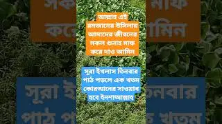 সূরা#ইখলাস#তিনবার#পাঠ#করলে#এক#খতম#কোরআনের#সাওয়াব#হবে#ইনশাআল্লাহ#tg#village