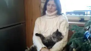 Переезд в деревню. Часть 2. Лесной хутор.