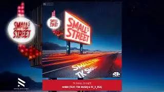 Tk Small & W4DE - HAIBO (feat. TNK MusiQ & Ta_X_RSA) [Official Audio]