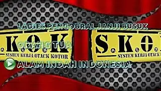 New punk rock song SKOK