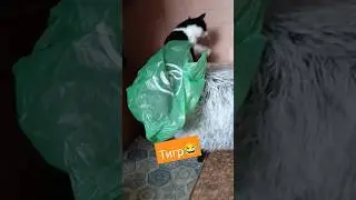 😆Юмор😆
