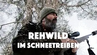 Hunting Roe Deer in the german snow (activate english subtitles)