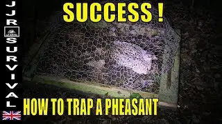 How To Trap A Pheasant