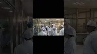 Работа непыльная #shorts
