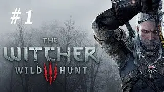 The Witcher 3 Wild Hunt Walkthrough - No Commentary Gameplay Part 1