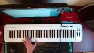 Native Instruments - Strummed Acoustic 2 - Justin Bieber - Love Yourself - Country Version