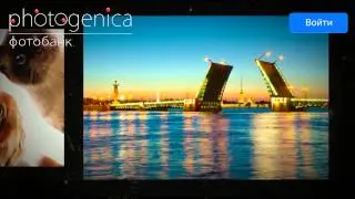 Фотобанк Фотодженика: фотографии на любую тему и для любых целей