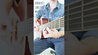 When you can’t play the guitar, but you’re a musical genius #guitar #history #classicalmusic