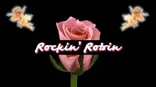 Hi People, It's Me (Sped Up) - Rockin' Robin (Single Version) [Visualizer]