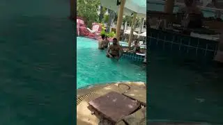 #NovaplatinumpattayaHotel #pattaya #pool #trending