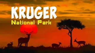 Kruger National Park South Africa