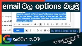 Online Apps Beginner Course (Sinhala) - Part 3 - Options When Creating Emails