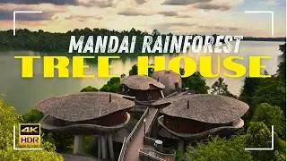 Mandai Rainforest Tree House by Banyan Tree - Full Tour