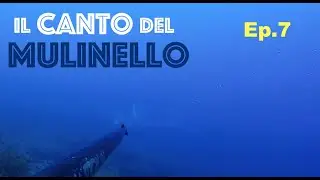 💥Spearfishing AMBERJACK an INCREDIBLE Start
