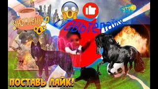 ЖЕРЕБЦЫ