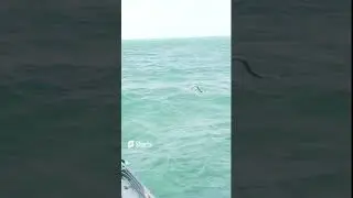 Fishing Tour in Belize