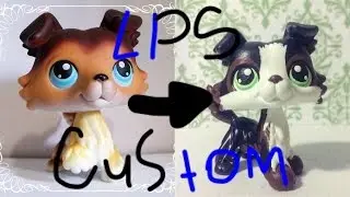 ПЕРЕКРАСИЛА СЕЙДЖА!|Lps Ооак[Ooak]