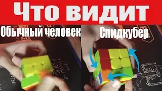 что видит обычный человек vs что видит спидкубер